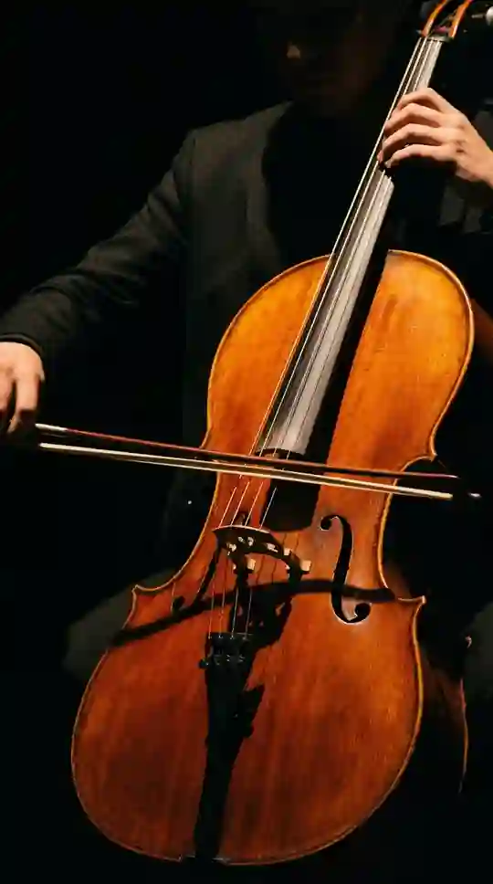 смычок на струнах виолончели